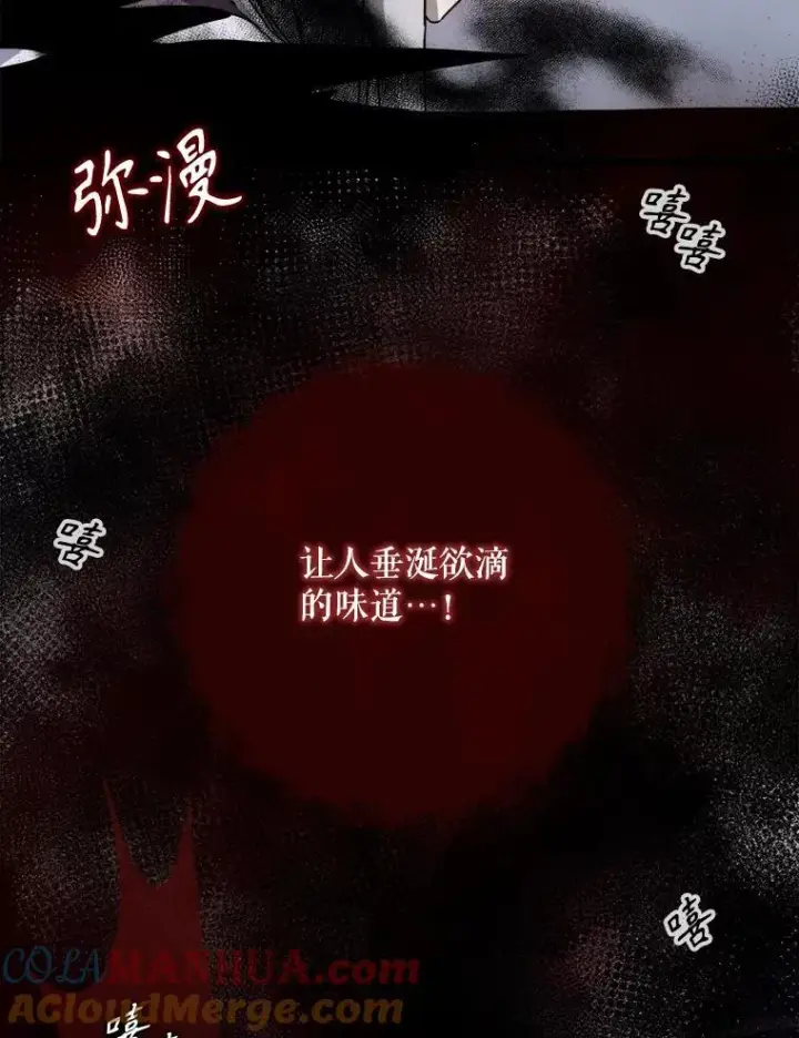 《被嫌弃的私生女》109.入侵图73