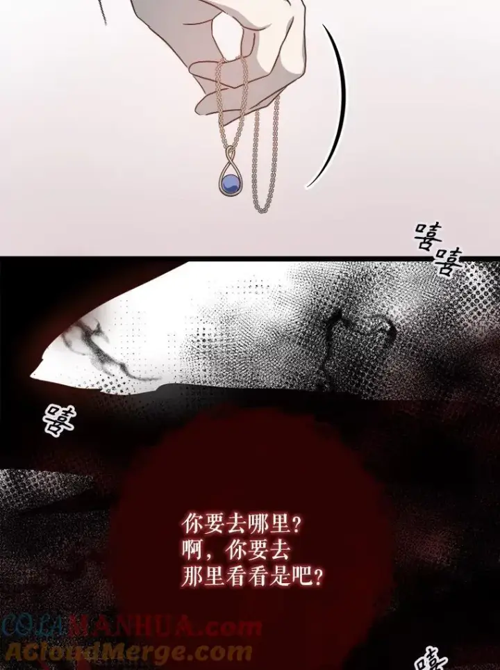 《被嫌弃的私生女》109.入侵图88