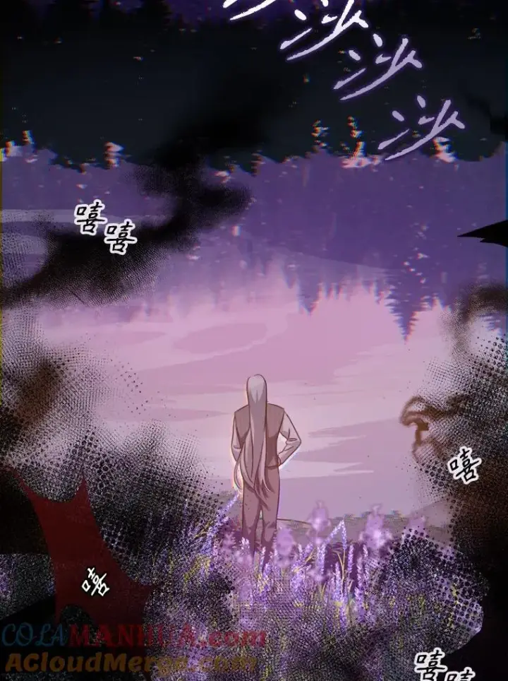 《被嫌弃的私生女》109.入侵图91