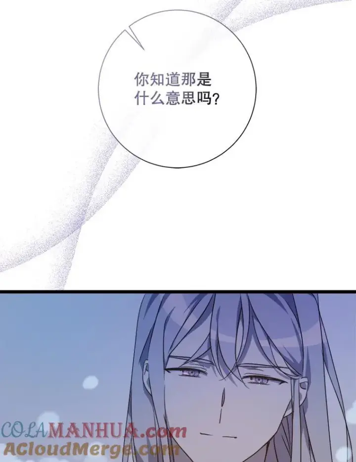 《被嫌弃的私生女》114.碎片图19