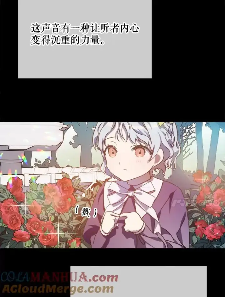 《被嫌弃的私生女》114.碎片图31