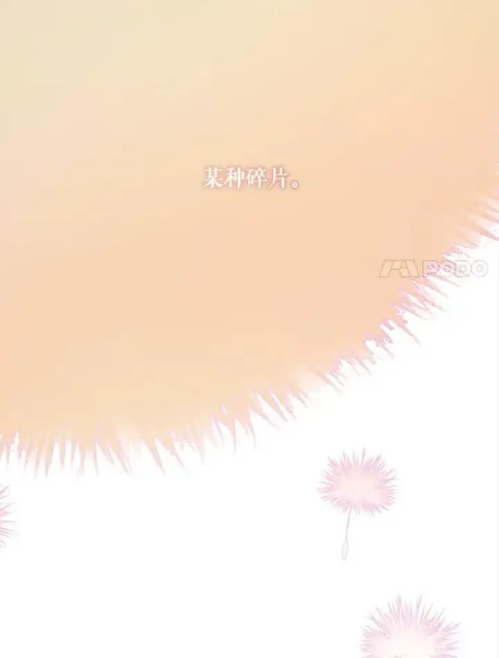 《被嫌弃的私生女》114.碎片图41