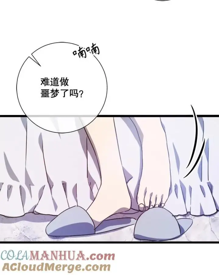 《被嫌弃的私生女》114.碎片图46