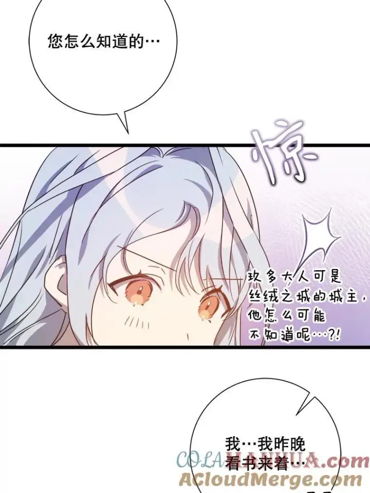 《被嫌弃的私生女》114.碎片图79