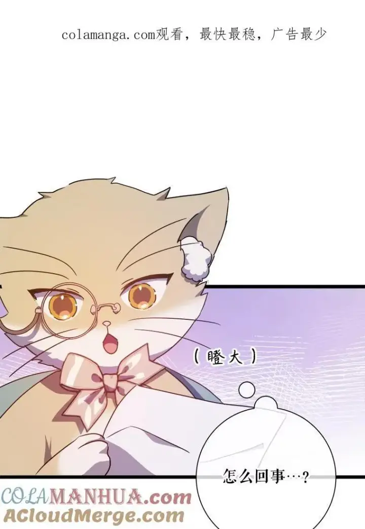 《被嫌弃的私生女》114.碎片图84