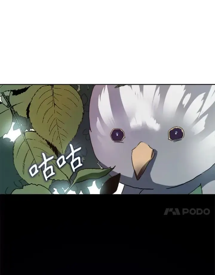 《被嫌弃的私生女》125.不死鸟骑士图38