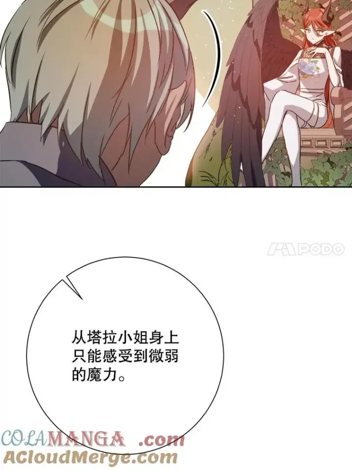 《被嫌弃的私生女》127.诅咒图70