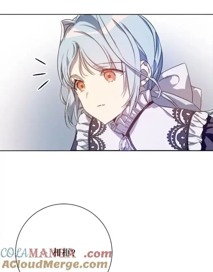《被嫌弃的私生女》131.肖像画图10