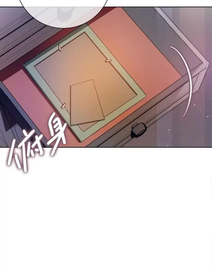 《被嫌弃的私生女》131.肖像画图11