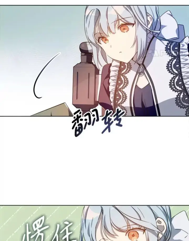 《被嫌弃的私生女》131.肖像画图12