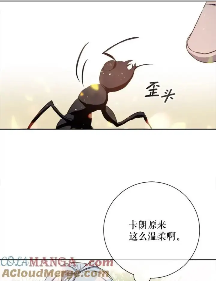 《被嫌弃的私生女》132.担心玖多图64