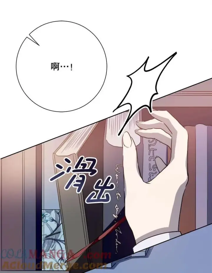 《被嫌弃的私生女》135.神秘“客人”图73