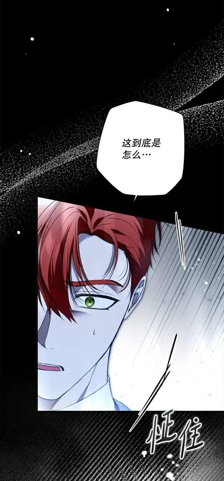 《被占用的身体》31. 冬城崩摧图10