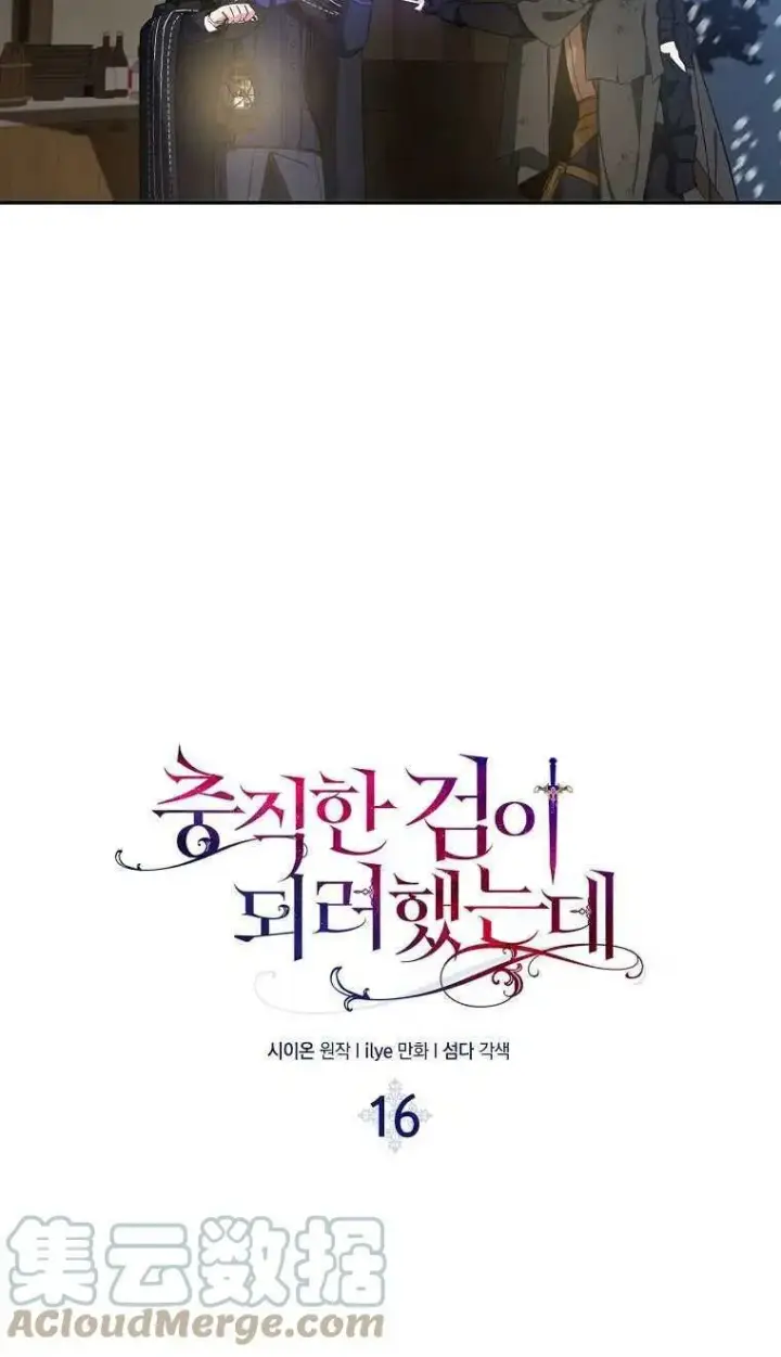 《护爱之剑》第16话图19