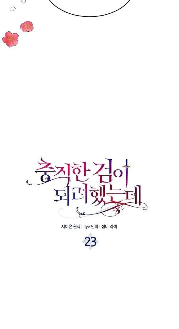 《护爱之剑》第23话图5