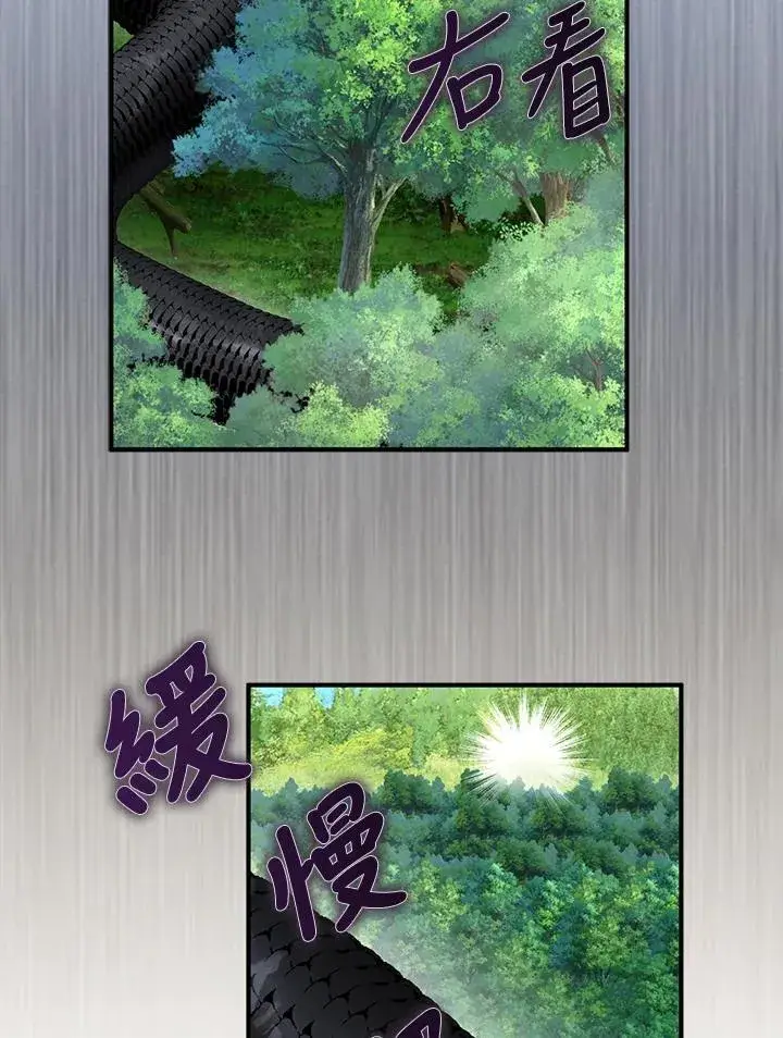 《护爱之剑》第61话图20