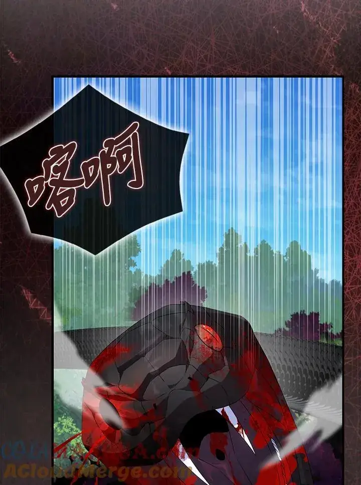 《护爱之剑》第63话图45