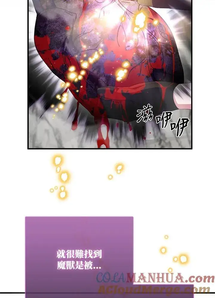 《护爱之剑》第64话图105