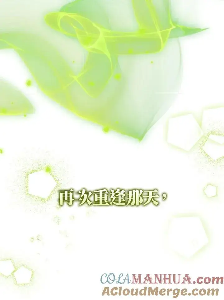 《护爱之剑》第65话图17