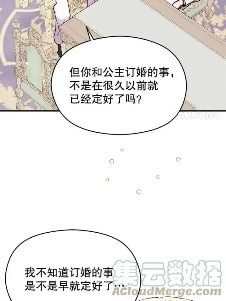 《并不是想引诱男主》31.利安的誓约图7