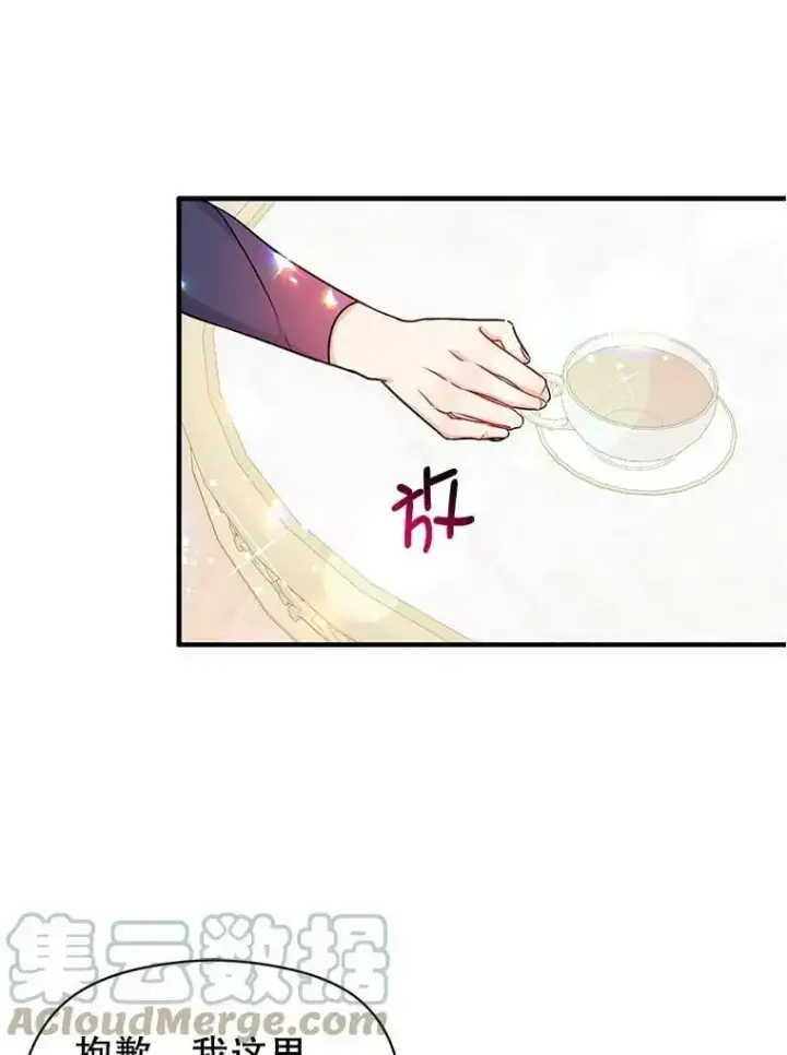 《并不是想引诱男主》34.胸针图13