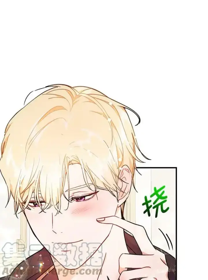 《并不是想引诱男主》34.胸针图19