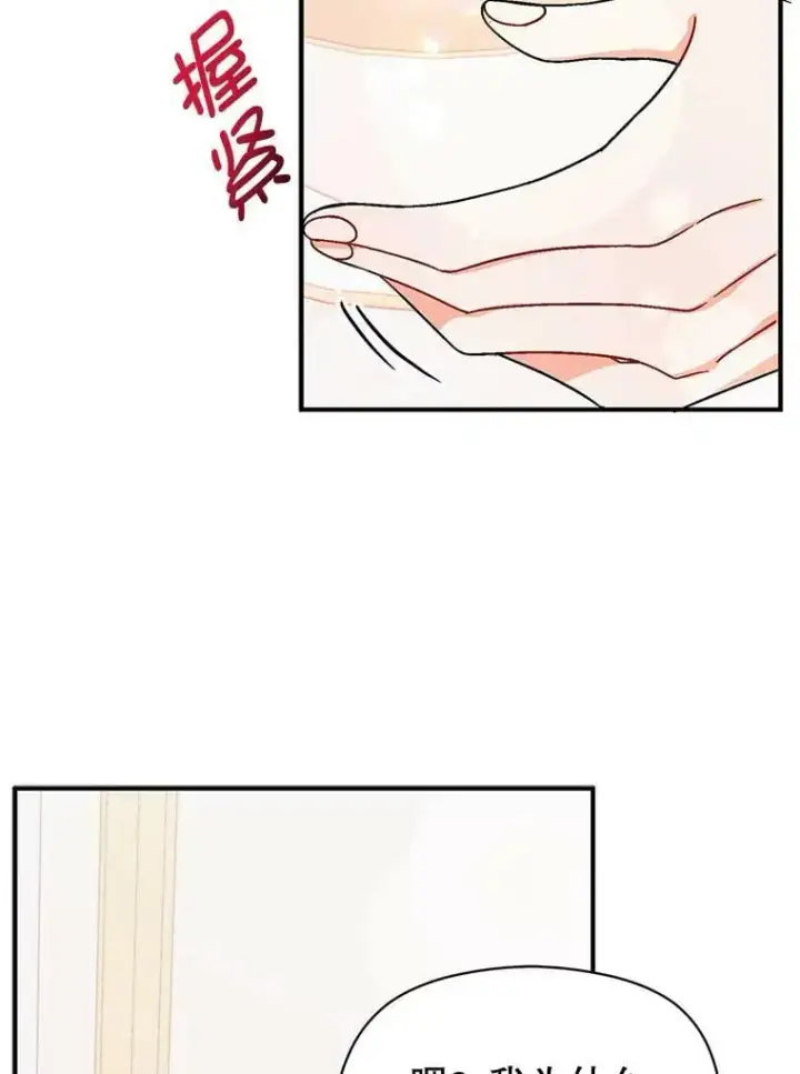 《并不是想引诱男主》34.胸针图29