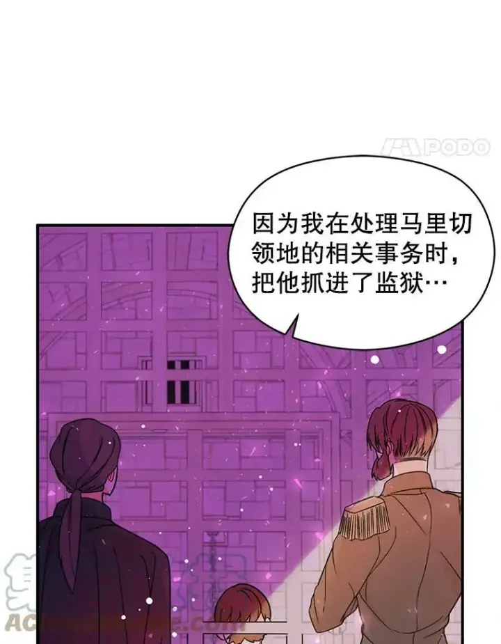 《并不是想引诱男主》34.胸针图31