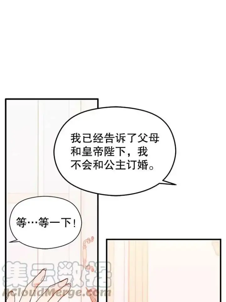 《并不是想引诱男主》34.胸针图46