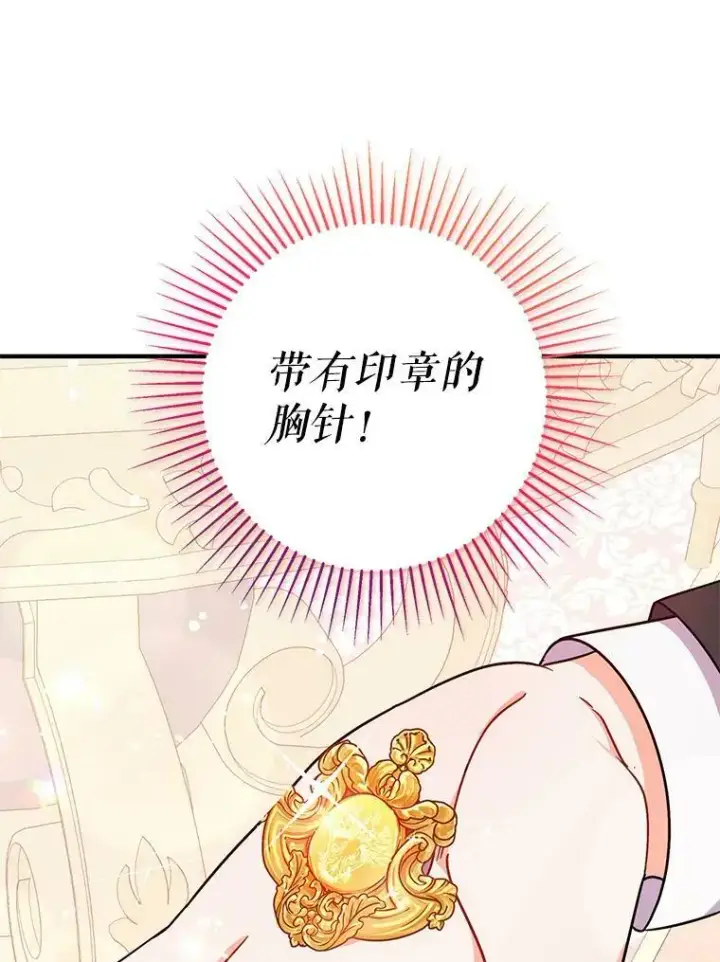 《并不是想引诱男主》34.胸针图75