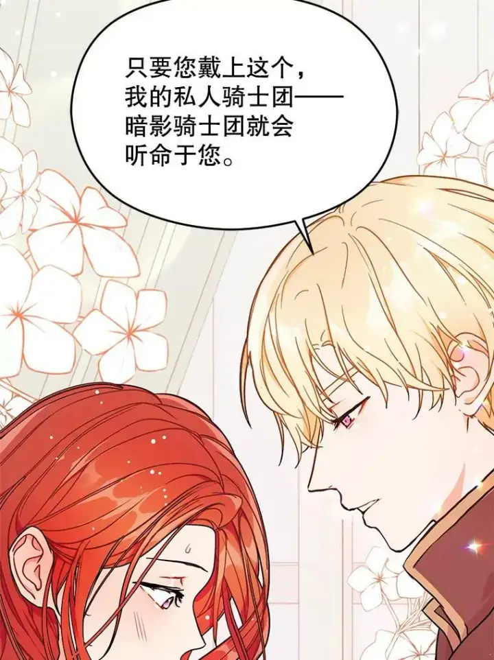 《并不是想引诱男主》34.胸针图81