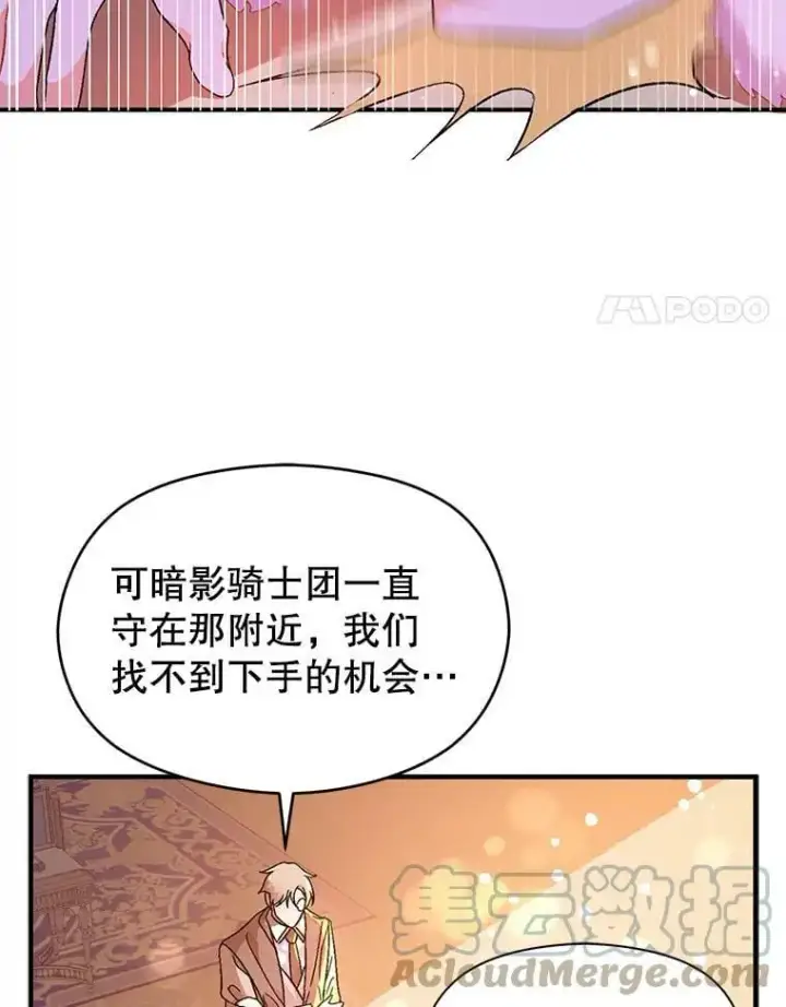 《并不是想引诱男主》40.筹备宴会图4