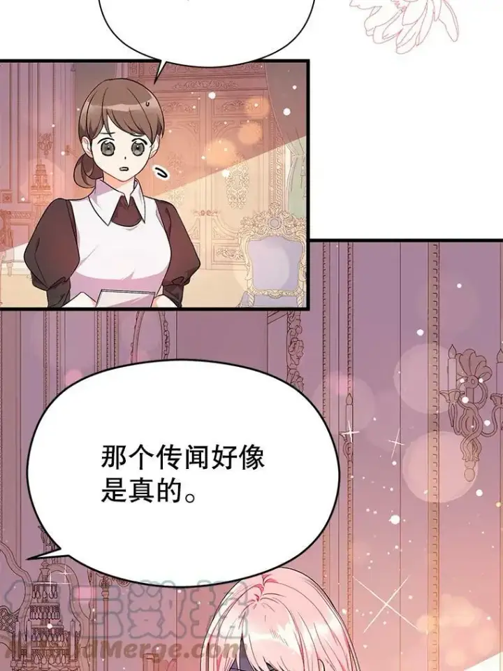 《并不是想引诱男主》40.筹备宴会图52