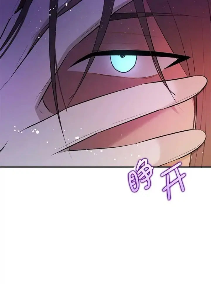 《并不是想引诱男主》41.华丽的宴会图106