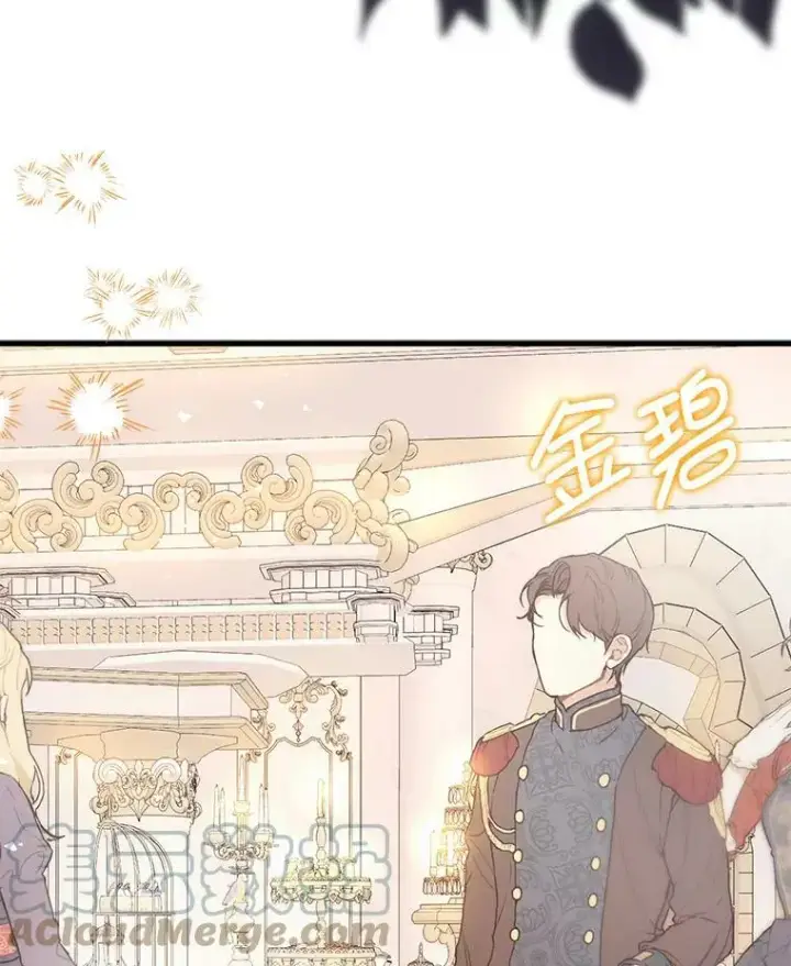 《并不是想引诱男主》41.华丽的宴会图37