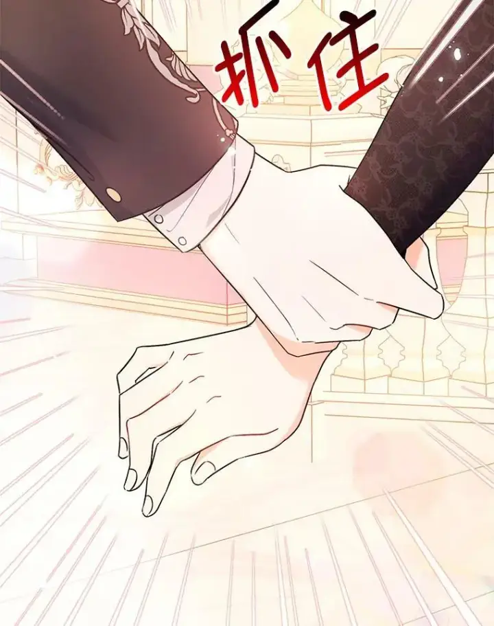 《并不是想引诱男主》41.华丽的宴会图44