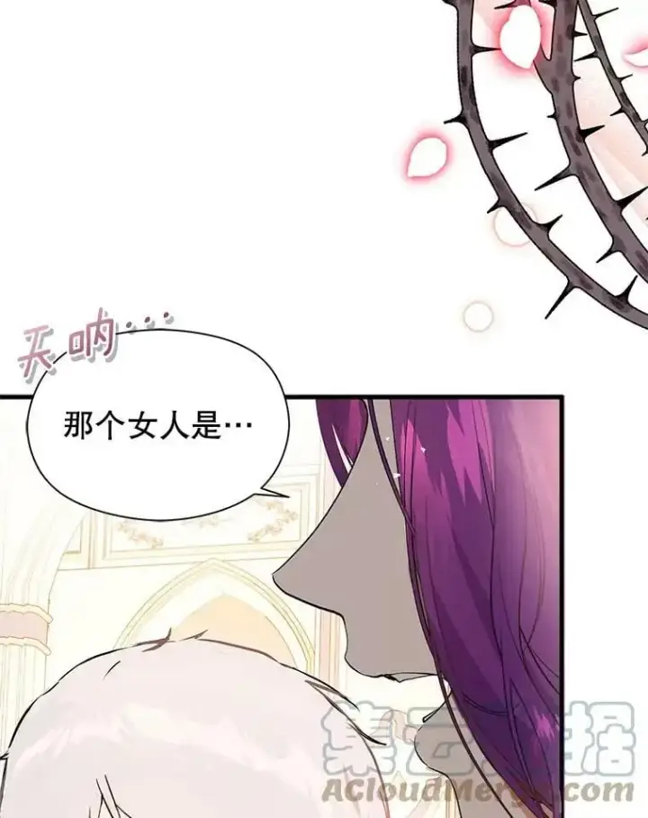 《并不是想引诱男主》41.华丽的宴会图61