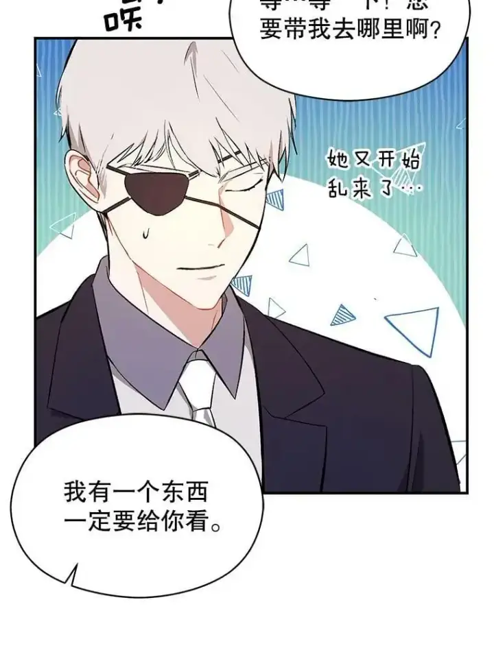 《并不是想引诱男主》42.沃夫宝石图46