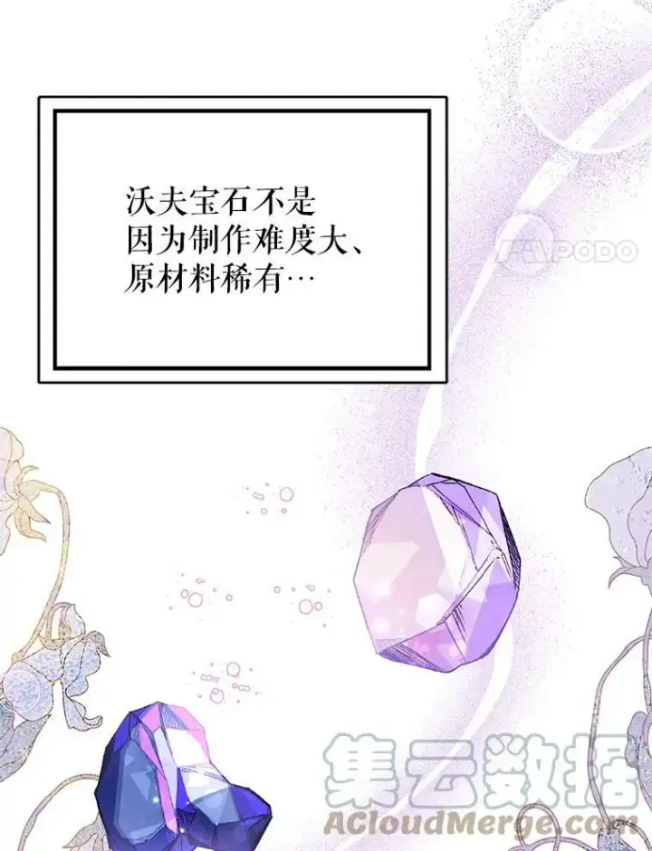 《并不是想引诱男主》42.沃夫宝石图85