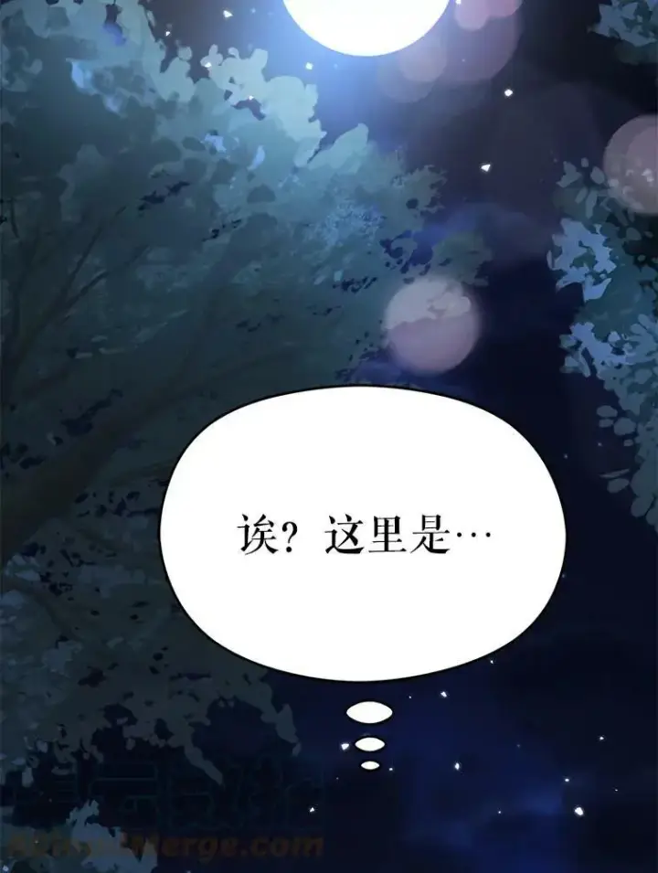 《并不是想引诱男主》43.皇帝的命令图109