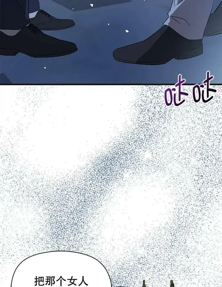 《并不是想引诱男主》43.皇帝的命令图38