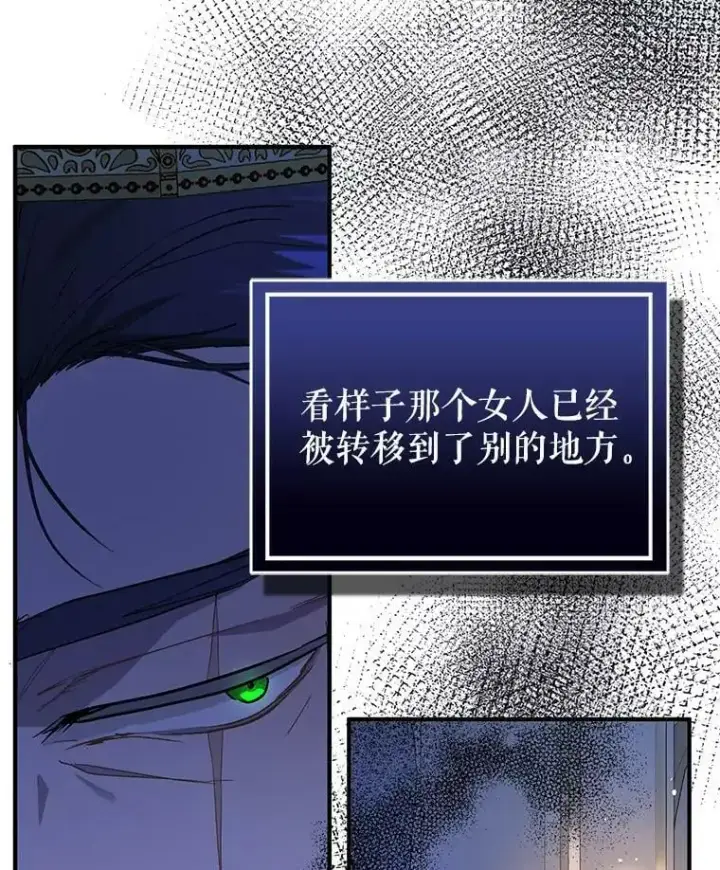 《并不是想引诱男主》43.皇帝的命令图79