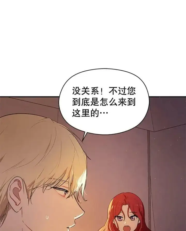 《并不是想引诱男主》44.确认烙印图43