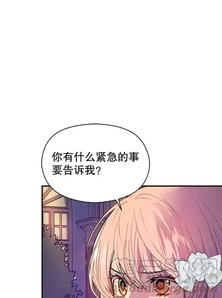 《并不是想引诱男主》45.公主的礼物图113