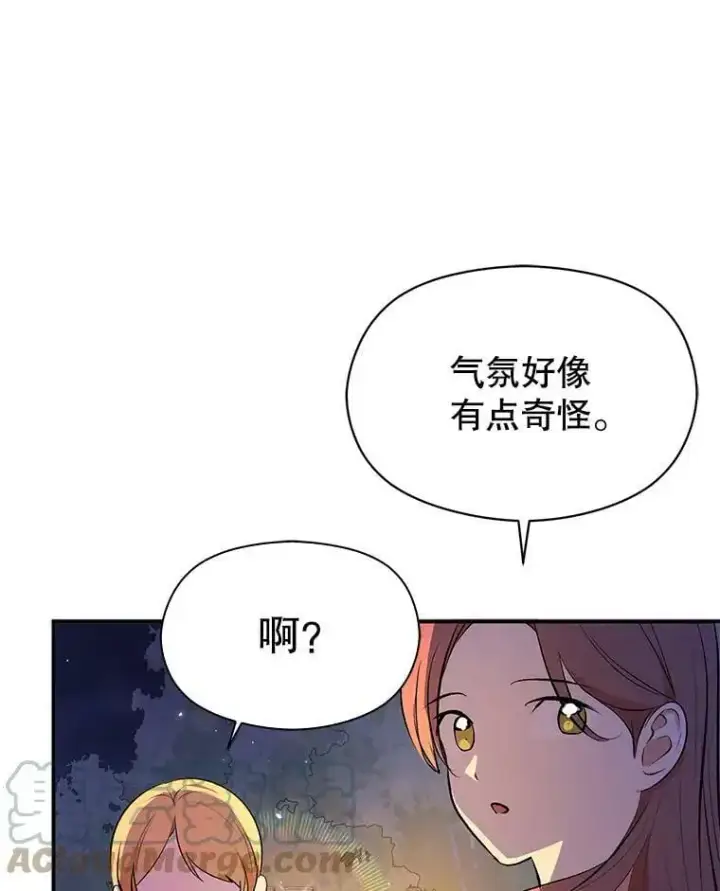 《并不是想引诱男主》45.公主的礼物图25