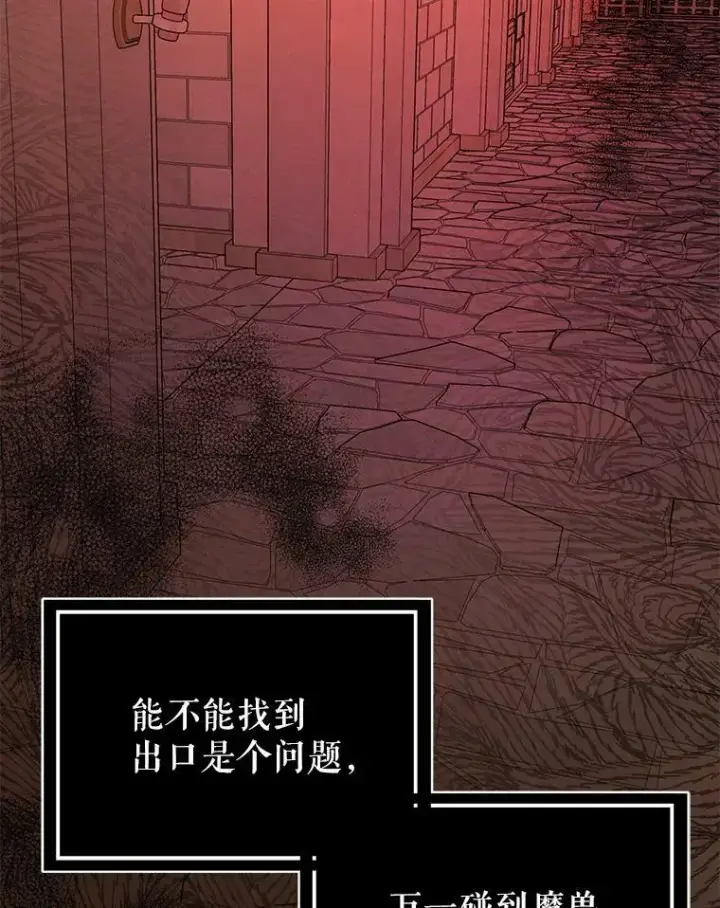 《并不是想引诱男主》51.地下禁区图87