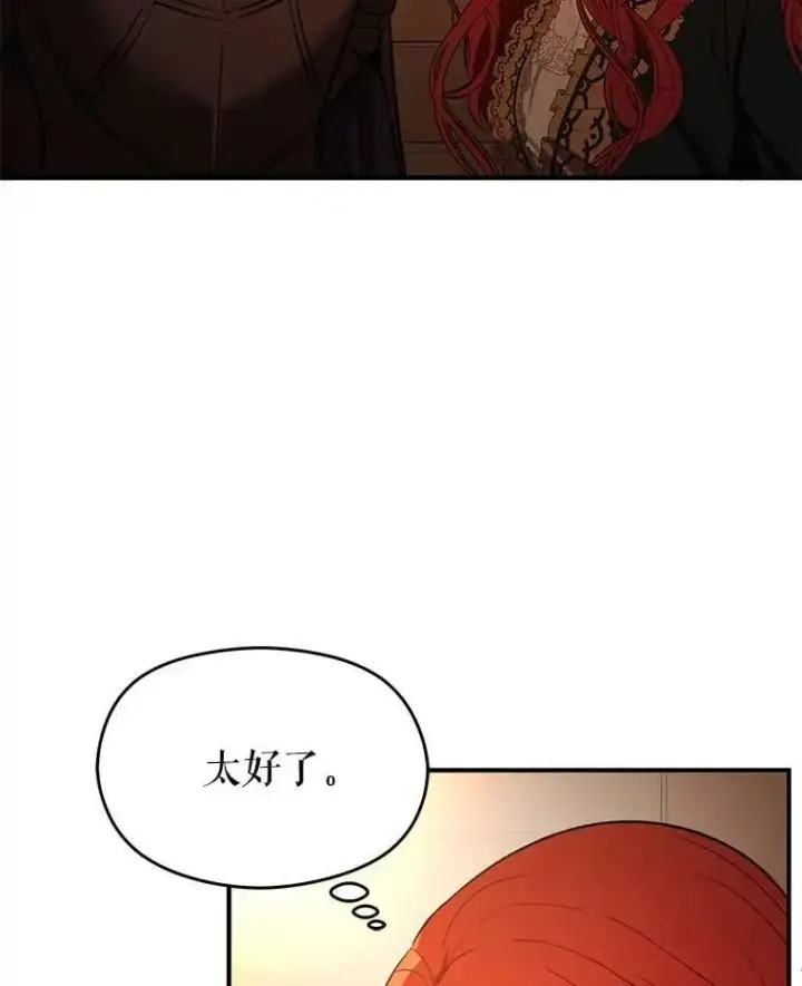 《并不是想引诱男主》52.合作图26