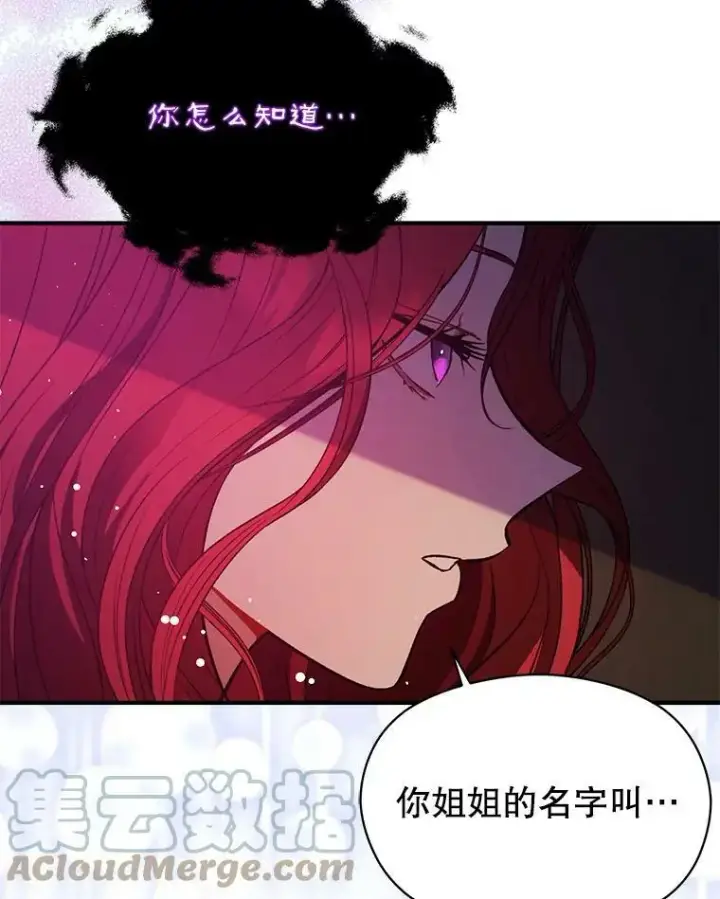 《并不是想引诱男主》52.合作图73