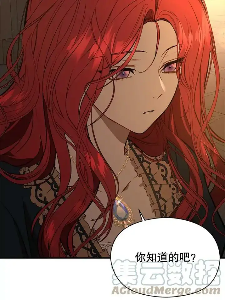 《并不是想引诱男主》54.传信图49