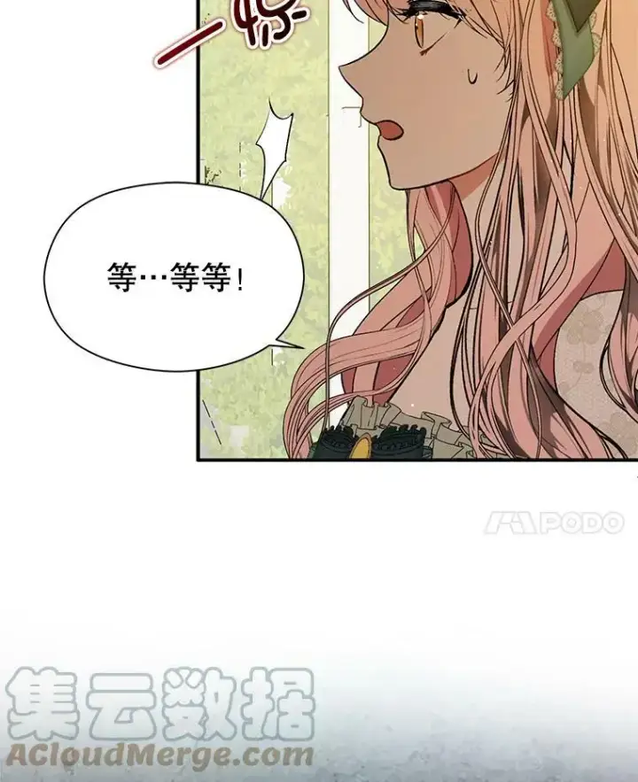 《并不是想引诱男主》60.公主的传闻图81